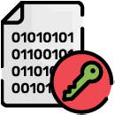 Advanced Data Encryption Icon-Advanced data encryption, information security, data protection, secure transmission, encryption technology, privacy protection, data security, secure services